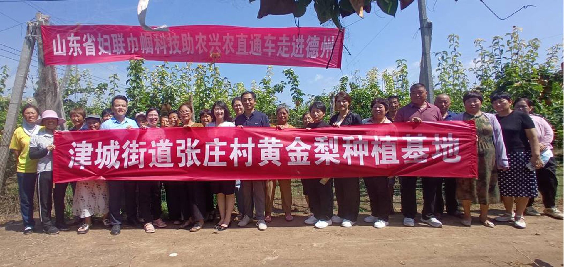 兴农农业科技