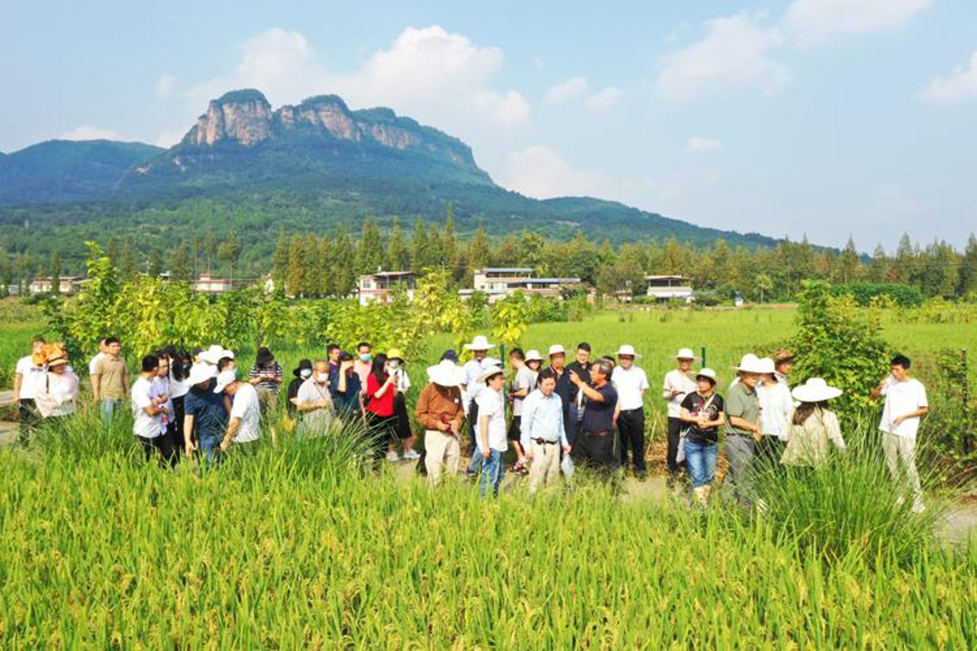 兴农农业科技